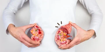 Waspadai Bahaya Duduk Lama, Penyebab Tersembunyi Batu Ginjal! Sumber Orami.