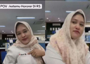 PT Timah Pecat Dwi Citra Weni yang Viral karena Hina Tenaga Honorer Pengguna BPJS Kesehatan