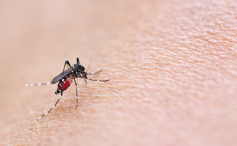 Kasus DBD di Rawasari Tertinggi, Aparatur Kelurahan Lakukan Fogging